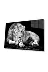 Aslan Cam Tablo 4mm Dayanıklı Temperli Cam