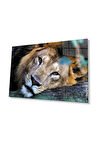 Aslan Cam Tablo 4mm Dayanıklı Temperli Cam