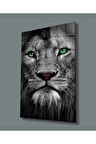 Aslan Cam Tablo 4mm Dayanıklı Temperli Cam
