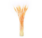 Kurutulmuş Başak Demeti Turuncu