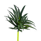 Yapay Sivri İnce Sukulent Koyu Yeşil 15 cm