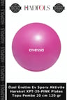Özel Üretim Ev Sporu Aktivite Hareket XPT-20-PINK Plates Topu Pembe 20 cm 120 gr