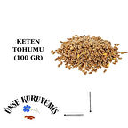 KETEN TOHUMU 100 GR 
