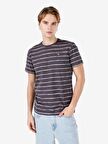 Normal Kesim Bisiklet Yaka Çizgili Antrasit Erkek Kısa Kol Tişört Cl1066752
