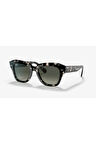LUXOTTICA RAY-BAN Asetat Unisex Güneş Gözlüğü 0RB2186-25