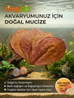 Doğal Catappa Yaprağı - Ekonomik Paket Akvaryum Su Düzenleyici (200 GR / 70-100 Adet)