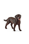 Erkek Çocuk Oyuncak 13834 Schleich - Dişi Labrador Retriever +3 yaş Kız Çocuk Eğitici Oyuncaklar