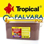 Tropical Cichlid Carnivore Small Pellet 1000 Gram Küçük Granül Balık Yemi