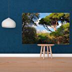 Tuval Üzerine Dijital Baskı Modern Sanatsal Kanvas Tablo 35x50 Tablo-