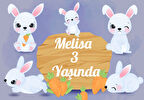 Sevimli Tavşan Temalı Doğıum Günü Afişi - 35x50 Cm