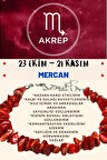 Akrep Burcu Burç Bilekliği