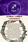 Sertifikalı Burç Taşı Yay Burcu Labradorit Taşı Bileklik