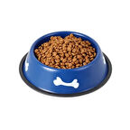 Dodes Renkli Kemik Desenli Metal Mama Kabı