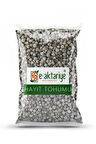 E-aktariye Hayıt Tohumu 100 Gr