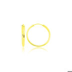 Ebuz ​Gümüş Altın Kaplama Halka Küpe