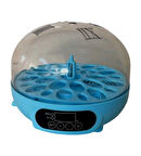 Sultan Papağını Yumurtası Kuluçka Makinesi