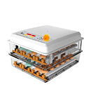 Hobi 120 Kaz Kuluçka Makinesi