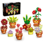 INSOON Etli Çiçekler Bonsai Yapı Setleri, 8 Paket Botanik Koleksiyonu Yapı Taşı Kiti Ev Dekorasyonu