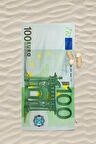 Euro Baskılı Plaj Banyo Havlusu