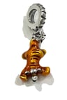 Kaplan Tigger Sallantılı  925 Ayar Gümüş  Charm