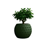 Yeşil Modern Tasarım Dekoratif Saksı