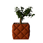 Puffo Saksı – Modern ve  Dekoratif Saksı