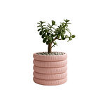 Soft Bloom Saksı – Minimal  Şıklık