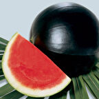 Geleneksel Tohum Siyah Washington Karpuz Tohumu (20 tohum)