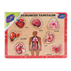 Ahşap Tutmalı Vücudumuzu Tanıyalım Eğitim Seti