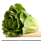 Gelenesel Ata Tohumları Yedikule Marul Tohumu (100tohum)