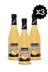 Ananas Sirkesi 500cc Cam x 3 Adet
