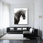 Hayvan Fotoğrafları Cam Tablo | Dayanıklı Temperli Cam