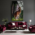 Hayvan Fotoğrafları Cam Tablo | Dayanıklı Temperli Cam