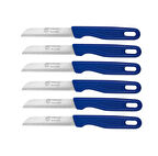 GGS Solingen 6'lı Meyve Bıçağı Delikli Mavi