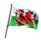 Galler Bayrağı 50x75 cm