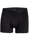 Star  Modal Boxer