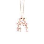 Gönül Kuşları Harfli Gümüş Kolye GMS1638