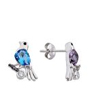 Renkli Kuşlar Gümüş Küpe GMS2097