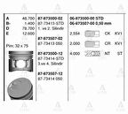 Goetze 87-73414-STD Motor Piston Segman STD L200 Magnum 2-4 Sıralı Piston 1998-2006 (4D56T Motor) 91.10mm (32mm Pim) 8773414STD