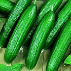 Bol Döken Kokulu Beith Alpha F1 Salatalık Tohumu (10 adet)