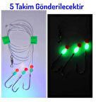 Tekne Ve Kıyı Kullanımına Uygun Fosfor Boncuklu Dip Takımı - 5 ADET