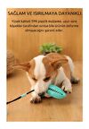 Köpek Çiğneme Oyuncağı