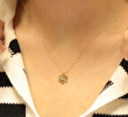 Altın Kartanesi Kolye Ucu ve Zinciri