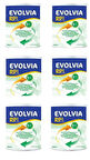 Evolvia Rp1 (400 Gr.) 6 Adet