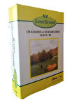Evergreen 10-20-18 / Çim Başlangıç ve Kışlık Bakım NPK Gübresi / 1 kg