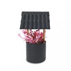 Kuyu Model Saksıda Dekoratif Çiçek