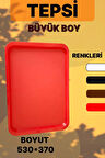 2 Lİ BÜYÜK BOY PLASTİK TEPSİ (53X37)