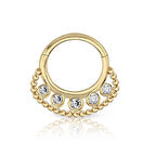 Top Toplu Beş Taşlı Taşlı Altın Helix Piercing