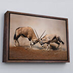 Kahverengi Çerçeveli Antilob Dekoratif Kanvas Tablo