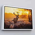 Beyaz Çerçeveli Geyik Gün Batımı Dekoratif Kanvas Tablo